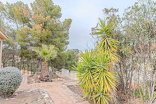 patio 2