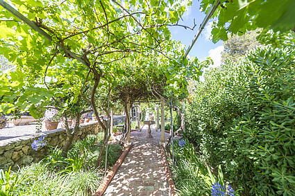 KPI1225 - Finca en venta - Finca zu verkaufen - Finca for sale - Finca te koop - www.kensington-ibiza.com - Noelle Politiek