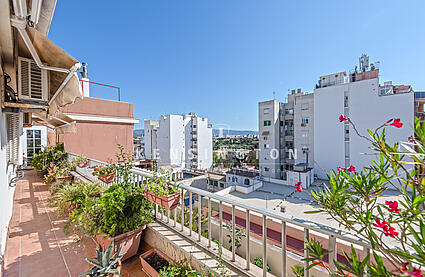 Penthouse in the center of Palma terrace