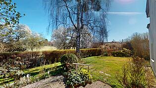 Blick in den Garten