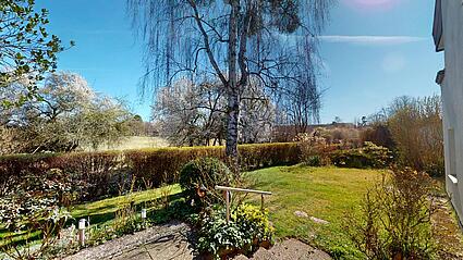 Blick in den Garten