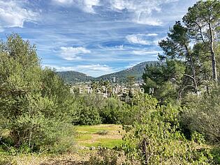 Grundstück mit Aussicht, Port Andratx Mallorca