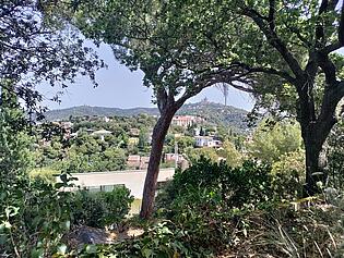 IMG_20240719_123304 - copia