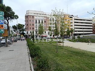 Zona