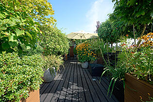 Dachgarten