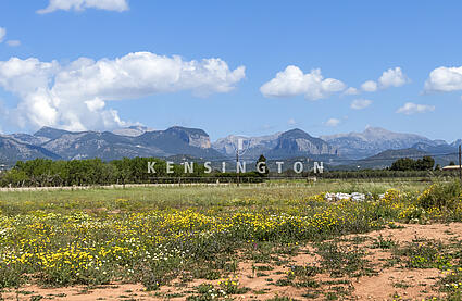 Finca in Santa Maria ,Mallorca 