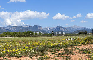 Finca in Santa Maria ,Mallorca 