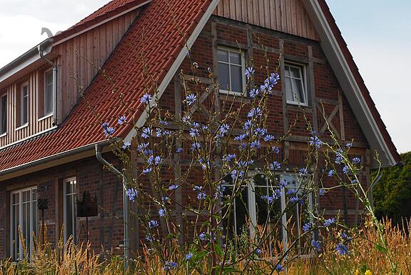 Eine Wohn-Oase im Naturgarten Eine Wohn-Oase im Naturgarten