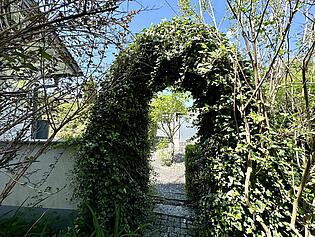 Malerischer Efeubogen zum Vorgarten