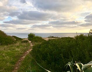 Plot with sea view in Cala Pi