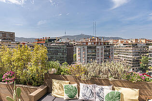 VISTA TERRAZA 1