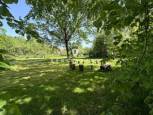 Wohlfühlplatz im Grünen