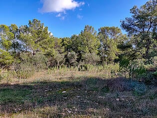 4. Plot in Sol de Mallorca for sale KPO01219