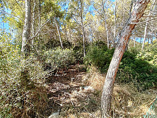 For sale a plot in Sol de Mallorca
