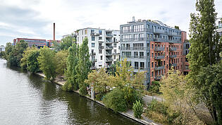 Spree / Ufer