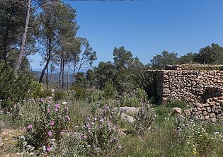 KPI1385 Finca en venta - Finca zu verkaufen - Finca for sale - Finca te koop - www.kensington-ibiza.com - Noelle Politiek