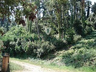 parc1