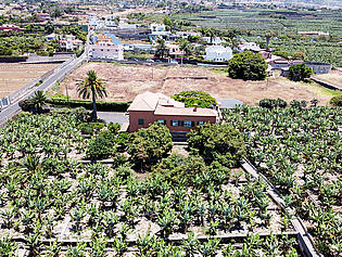 DJI_0491 (1)