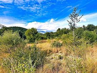 Plot of land Crestatx Sa Pobla for sale