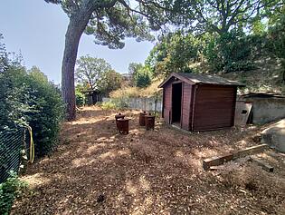 IMG_20240719_123452 - copia