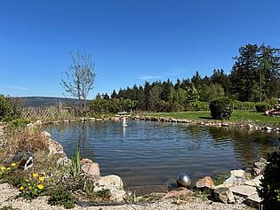 Schwimmteich 2