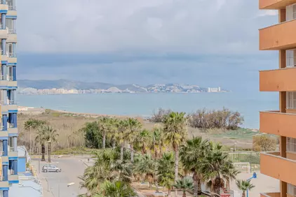 vistas 5