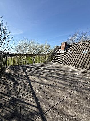 IMG_8447