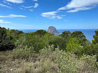 vKPI1321 - Finca en venta - Finca zu verkaufen - Finca for sale - Finca te koop 
