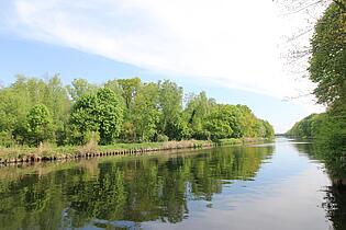 Wasserblick 