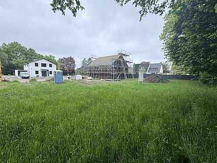 Seitenansicht von Hinten
