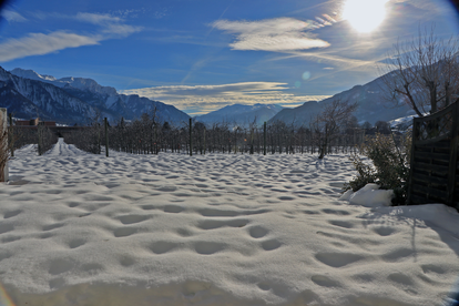 4.5 Zimmer WHG Landquart Aussicht