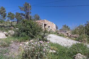 KPI1385 Finca en venta - Finca zu verkaufen - Finca for sale - Finca te koop - www.kensington-ibiza.com - Noelle Politiek