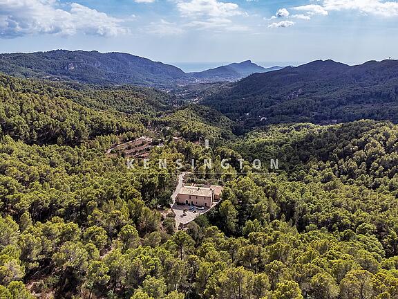 Meerblick-Finca Andratx Mallorca- Meerblick-Finca Andratx Mallorca-