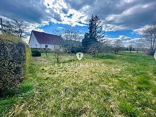 Garten Blick nach hinten