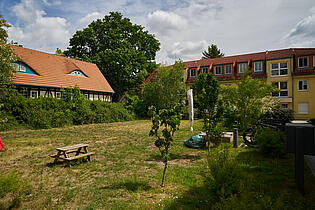 Gemeinschaftsgarten