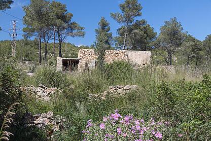 KPI1385 Finca en venta - Finca zu verkaufen - Finca for sale - Finca te koop - www.kensington-ibiza.com - Noelle Politiek