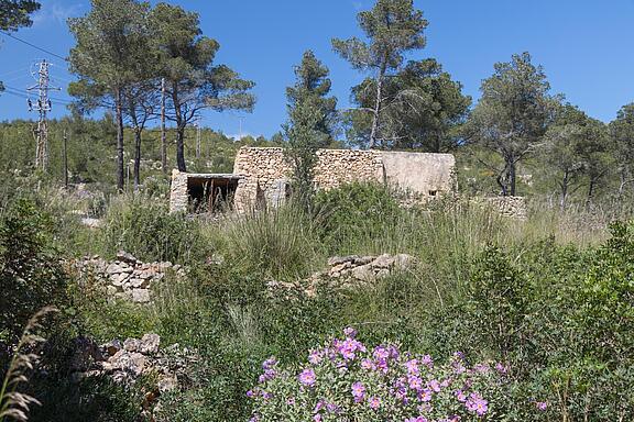 KPI1385 Finca en venta - Finca zu verkaufen - Finca for sale - Finca te koop - www.kensington-ibiza.com - Noelle Politiek KPI1385 Finca en venta - Finca zu verkaufen - Finca for sale - Finca te koop - www.kensington-ibiza.com - Noelle Politiek