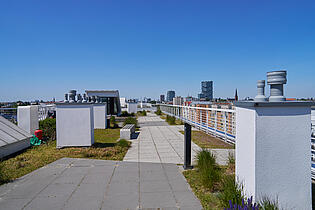 Rooftop für die Gemeinschaft