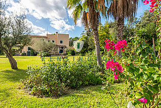 Finca Mallorca Pollensa - Alcudia