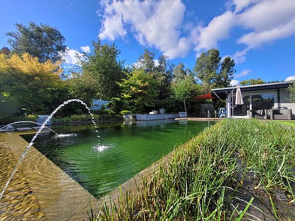 Schwimmteich Schwimmteich