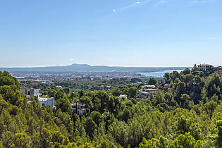 View from rooftop