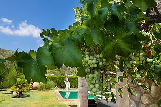 Finca Mallorca Alcudia con piscina en venta