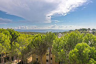 Blick auf Landschaft und Meer von der Wohnung in Sol de Mallorca