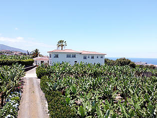 DJI_0482 (1)
