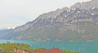 Seesicht