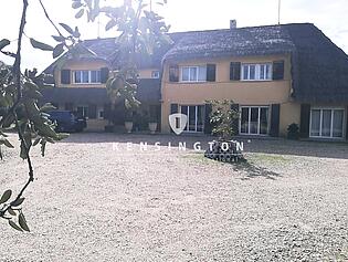 DJI_20221026_124142_132