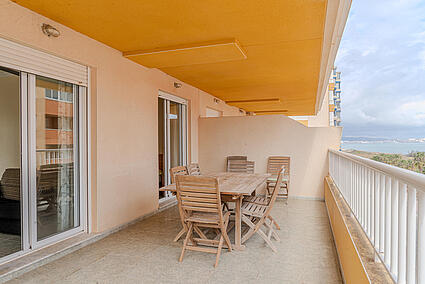 terraza 6