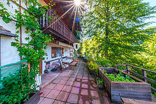 Terrasse Blickrichtung Osten