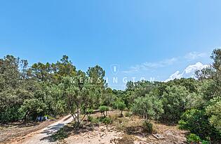 Finca Sencelles, Mallorca - garten