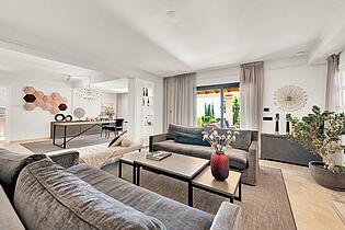 Modern designer living room